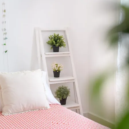 Apartamento La Casa De Pasos Punta Mujeres